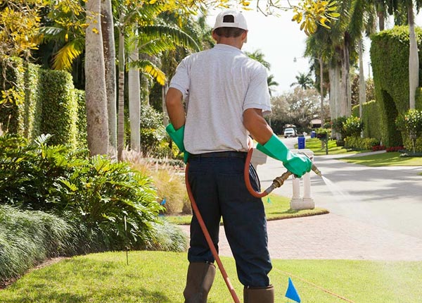 About Simpson IL Pest Control